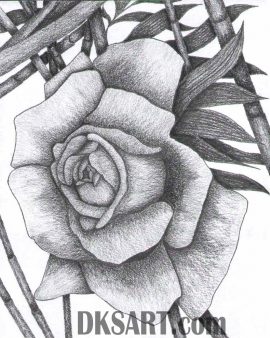 Rose tulip and bamboo artistic pencil sketch