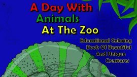 Thumbnail video image cover for kids coloring book with zoo animals