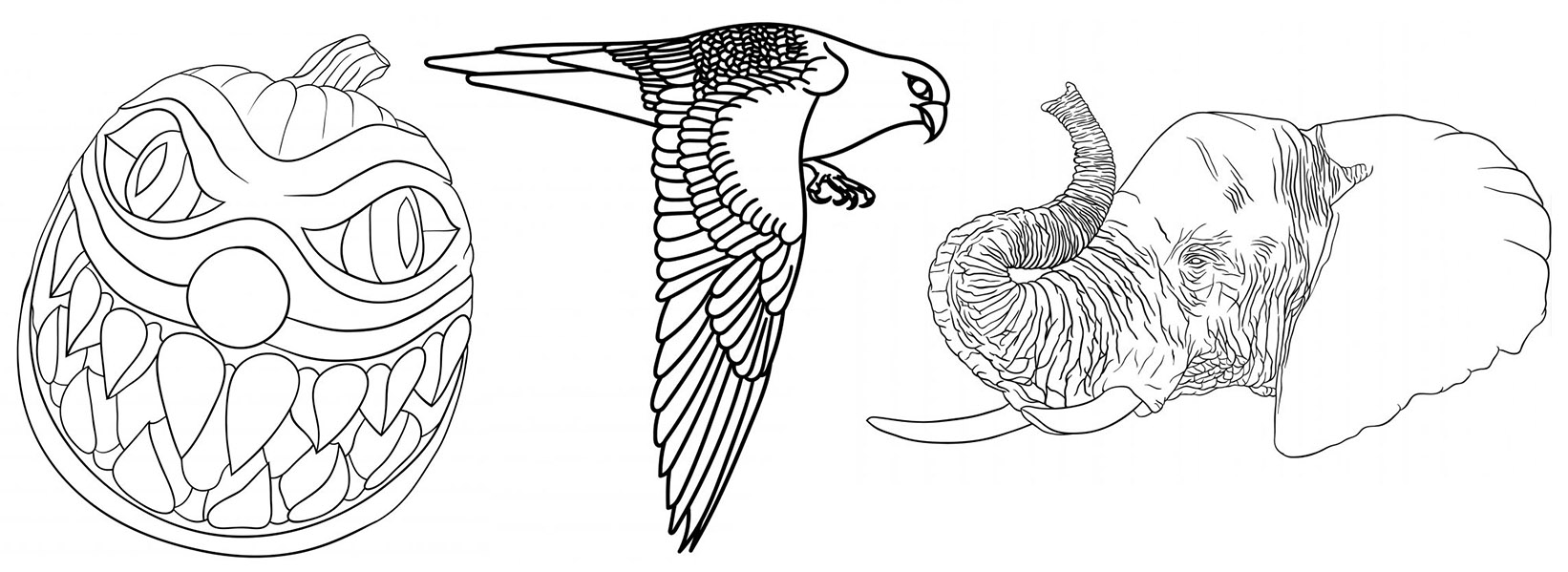 Printable Line Art Coloring Pages