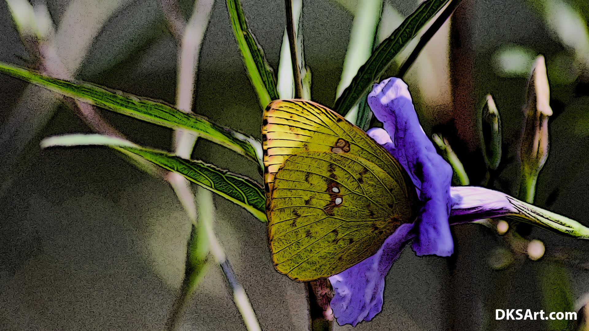 Yellow Butterfly Inside A Flower Photography Edit 3104