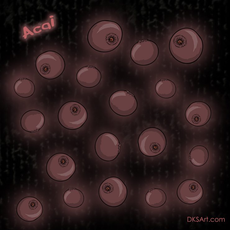 Digital illustration of acai fruit berries