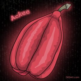Ackee fruit cartoon style drawing