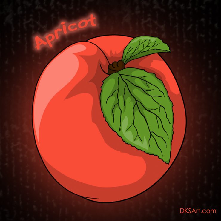 Digital drawing of an Apricot fruit used in educational coloring book for kids