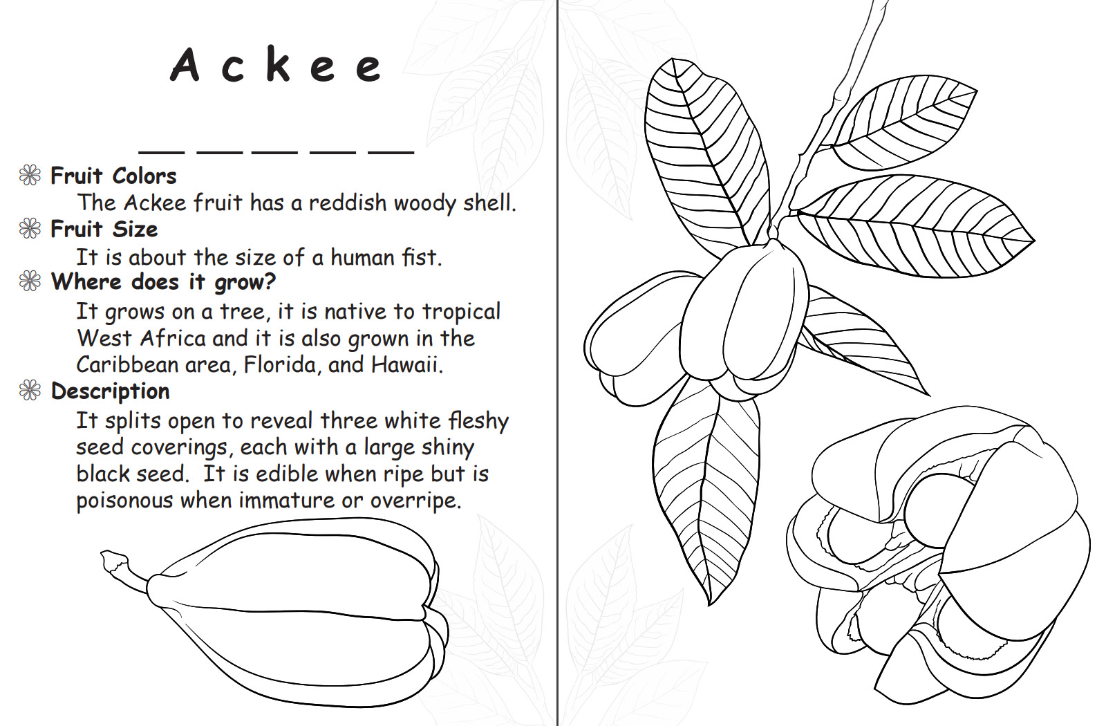 sample page coloring book
