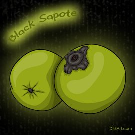 Cartoon style illustration of Black Sapote fruit