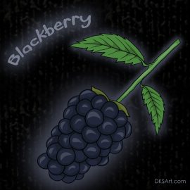 Digital illustration of blackberry fruit