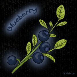illustration of blueberries growing on a bush