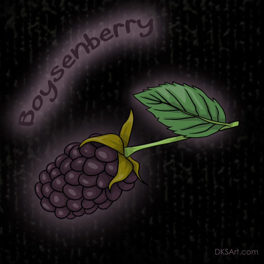 Boysenberry Fruit Digital Illustration For Kids Coloring Book