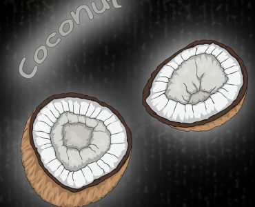 Illustration of coconut for coloring book