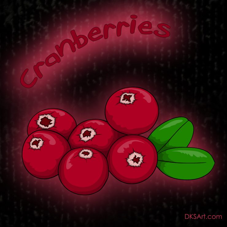 Cranberries used in kids coloring book