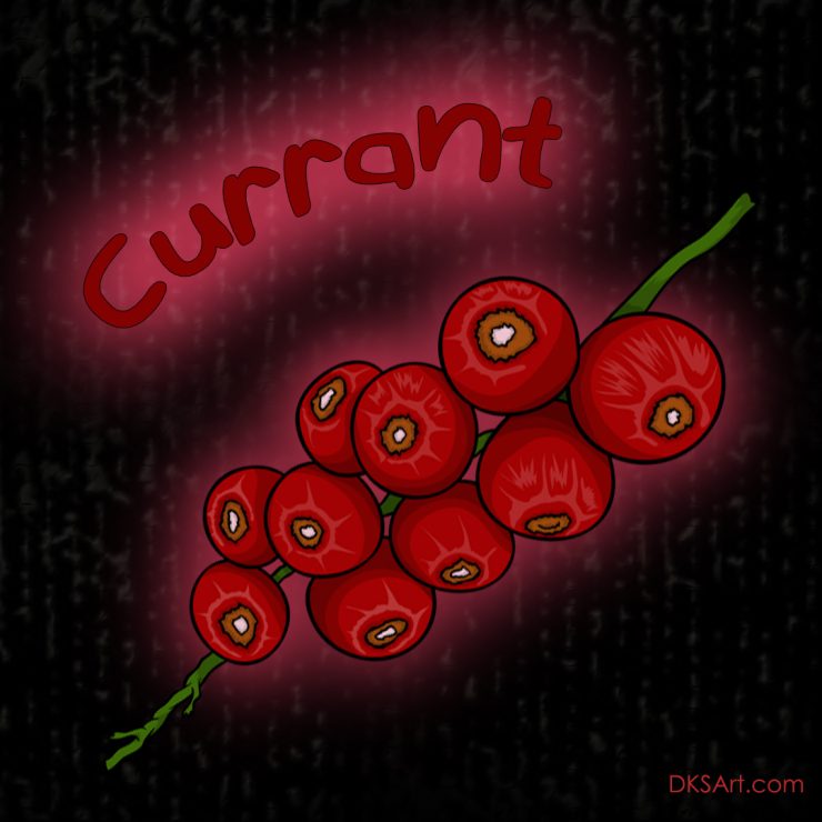 Currant illustration for kids coloring book