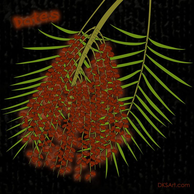 Digital drawing of date fruit