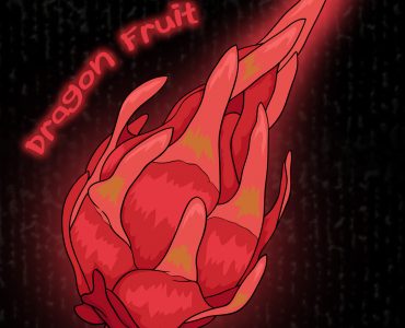 digital illustration of dragon fruit