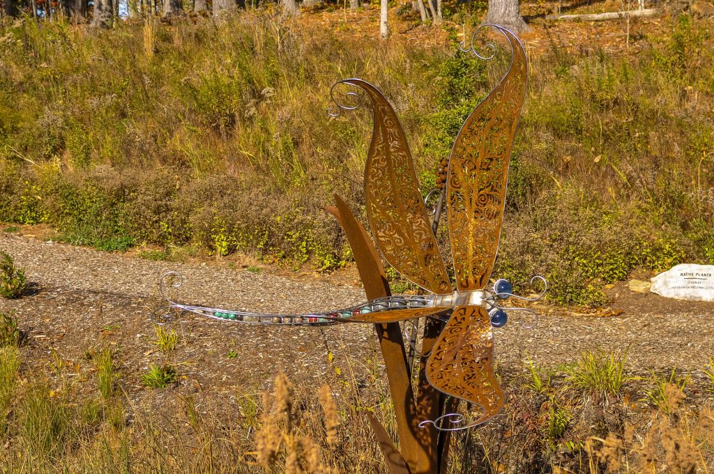 metal dragon fly in park