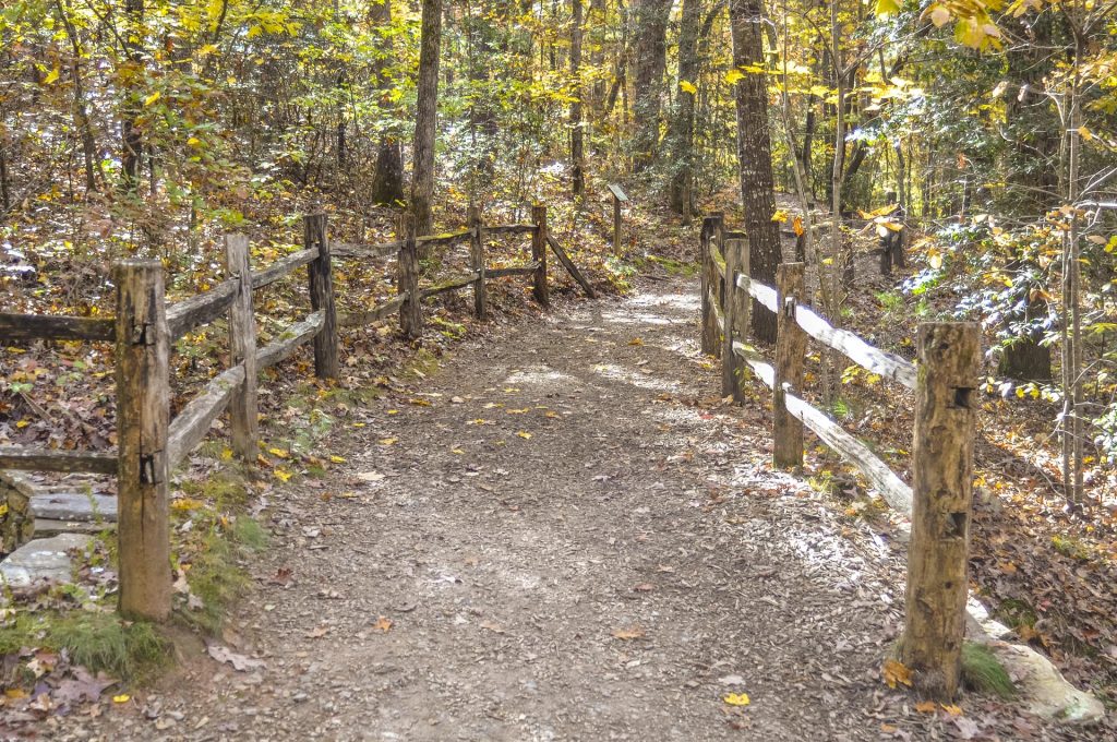 trail at North Carolina Arboretum