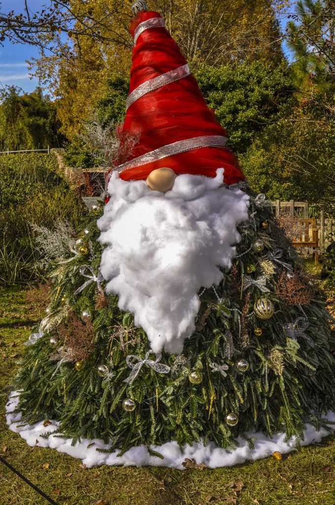 christmas tree gnome at North Carolina Arboretum