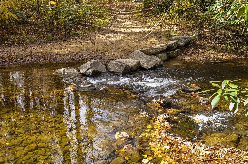 small stream at North Carolina Arboretum